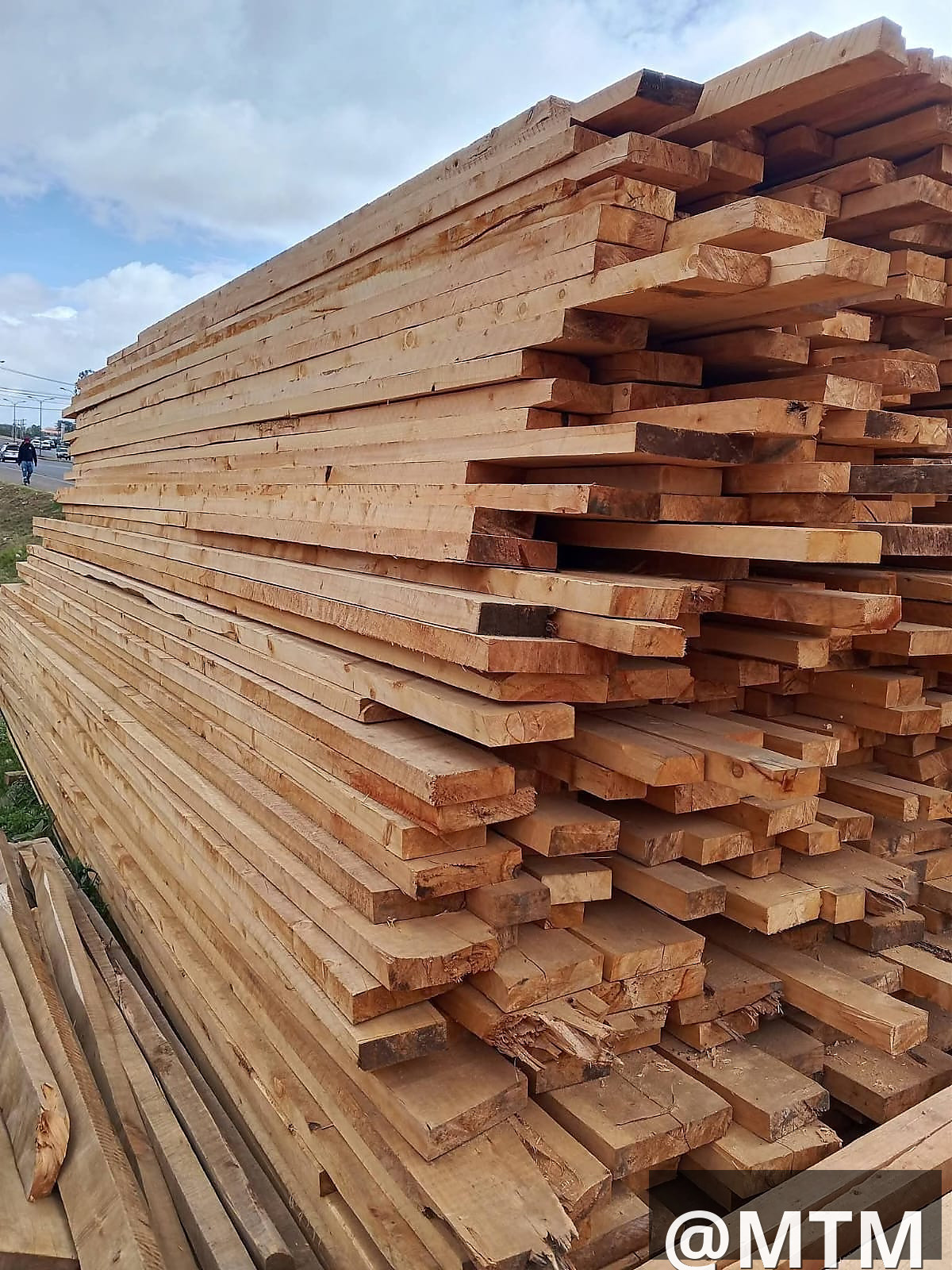 Pioneer timber supply 