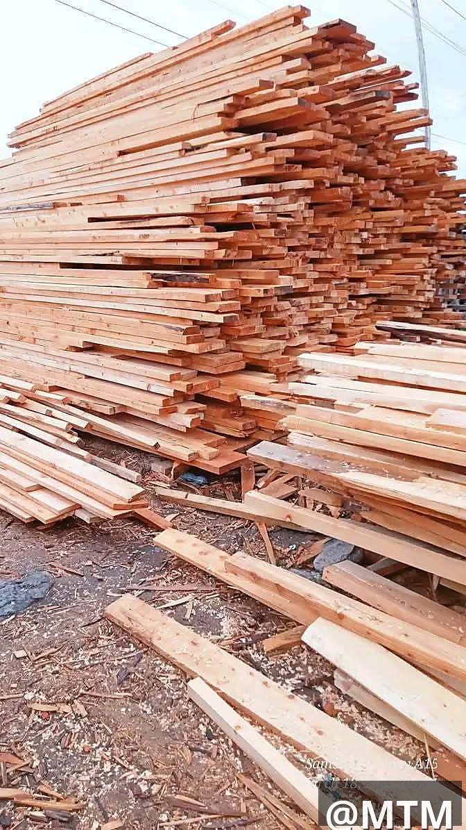 Pioneer timber supply 