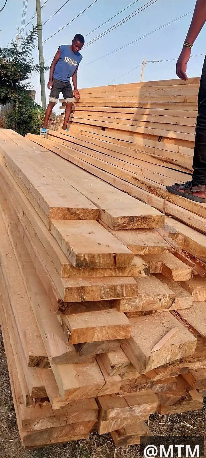 Pioneer timber supply 