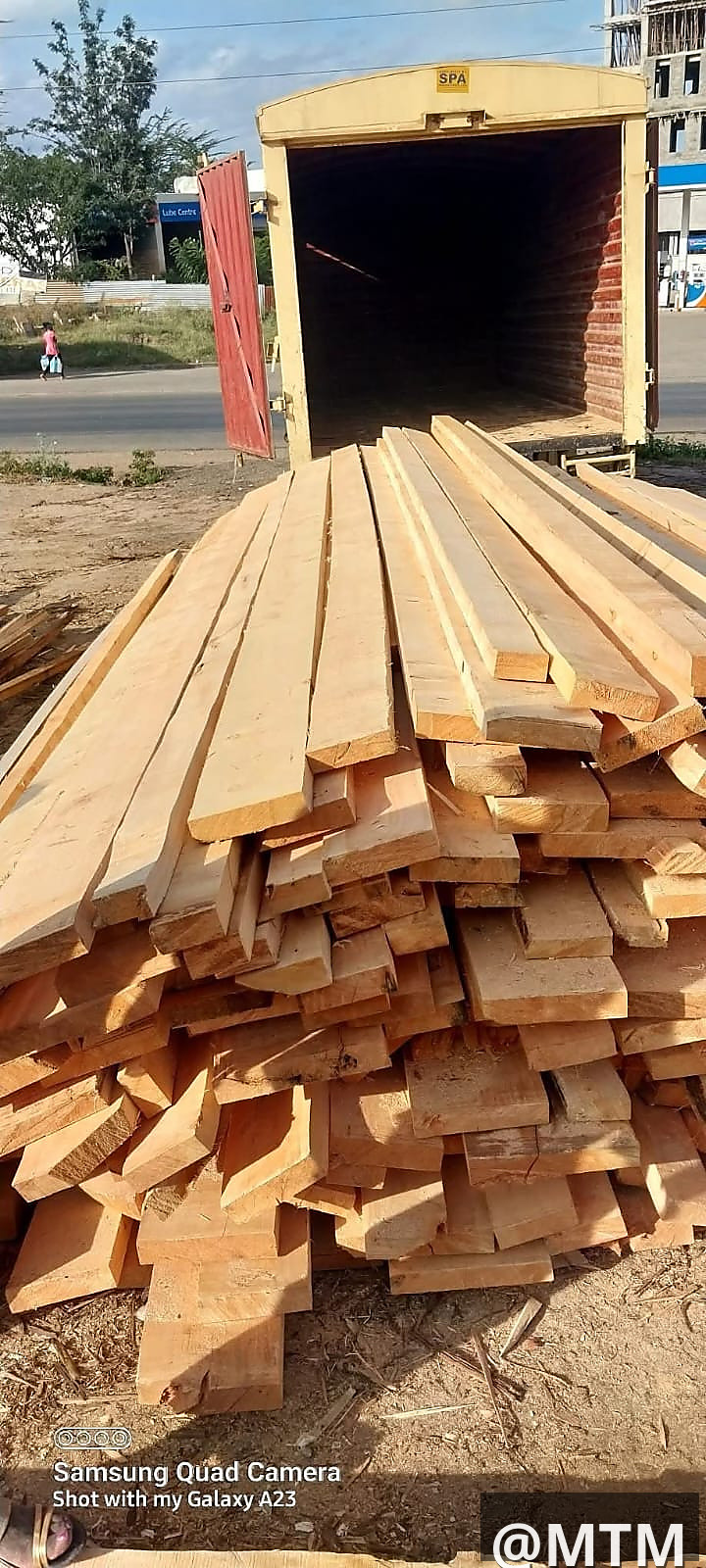 Pioneer timber supply 