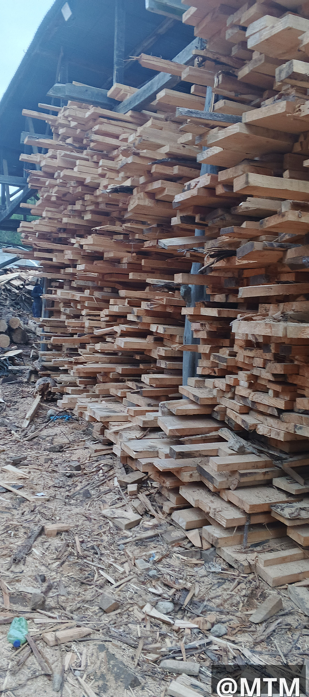 Roofing timbers