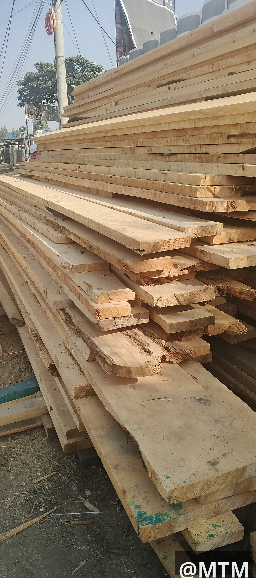 PIONEER TIMBER
