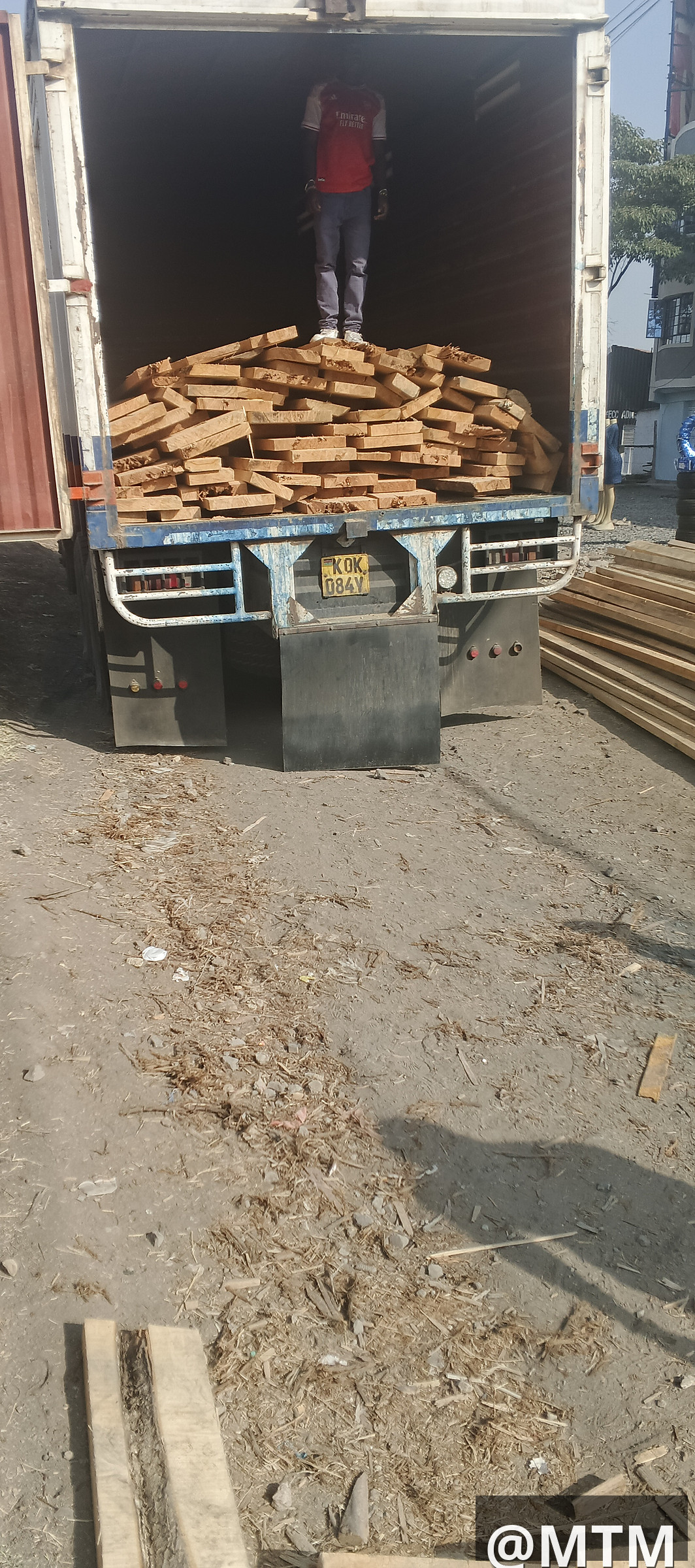 Pioneer timber supply 