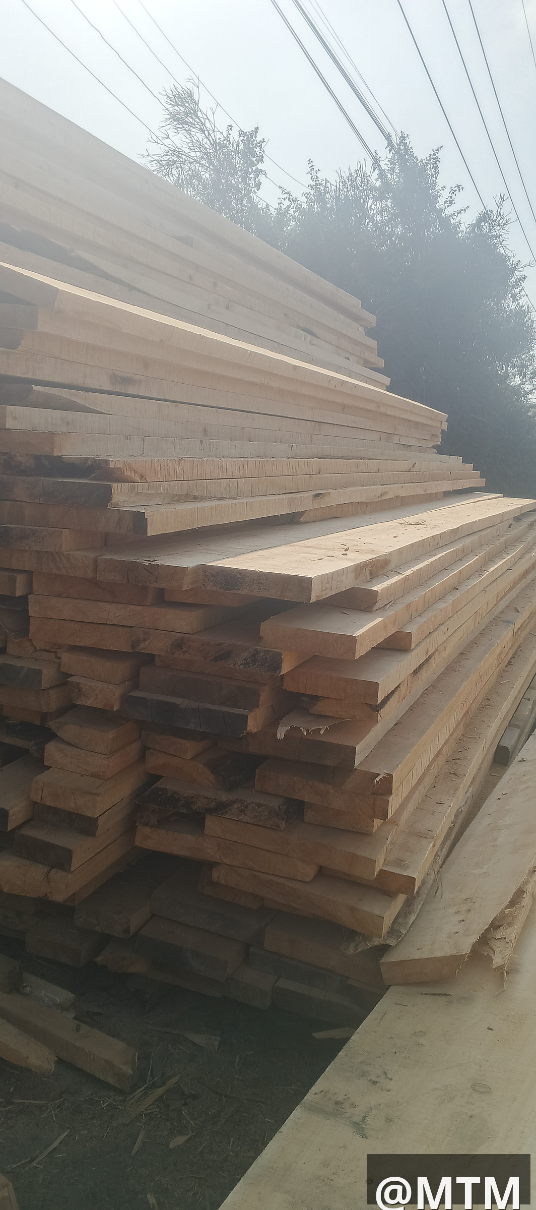 Roofing timbers
