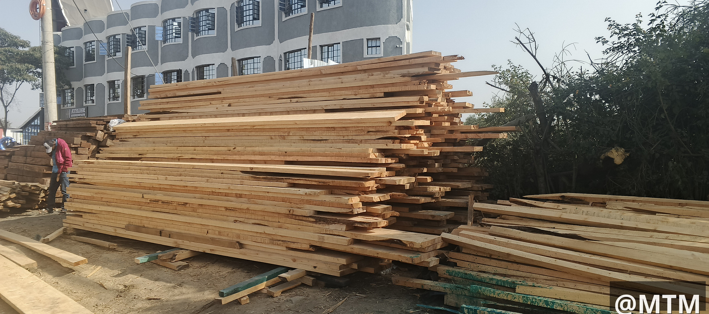 PIONEER TIMBER