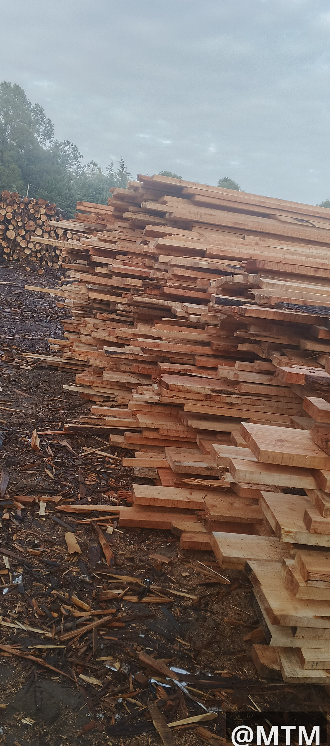 Roofing timbers