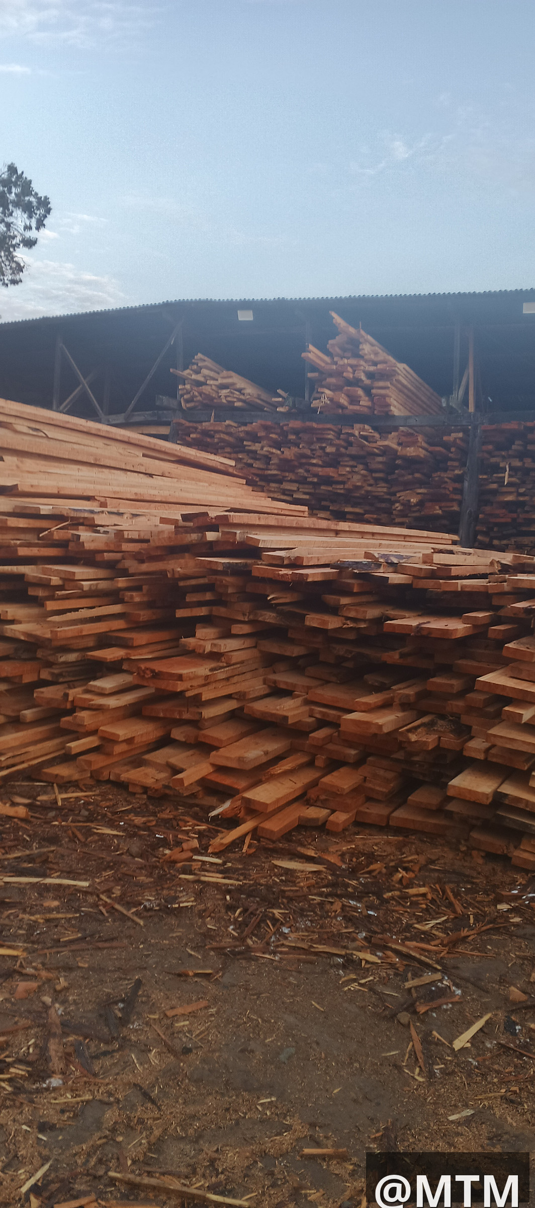 PIONEER TIMBER