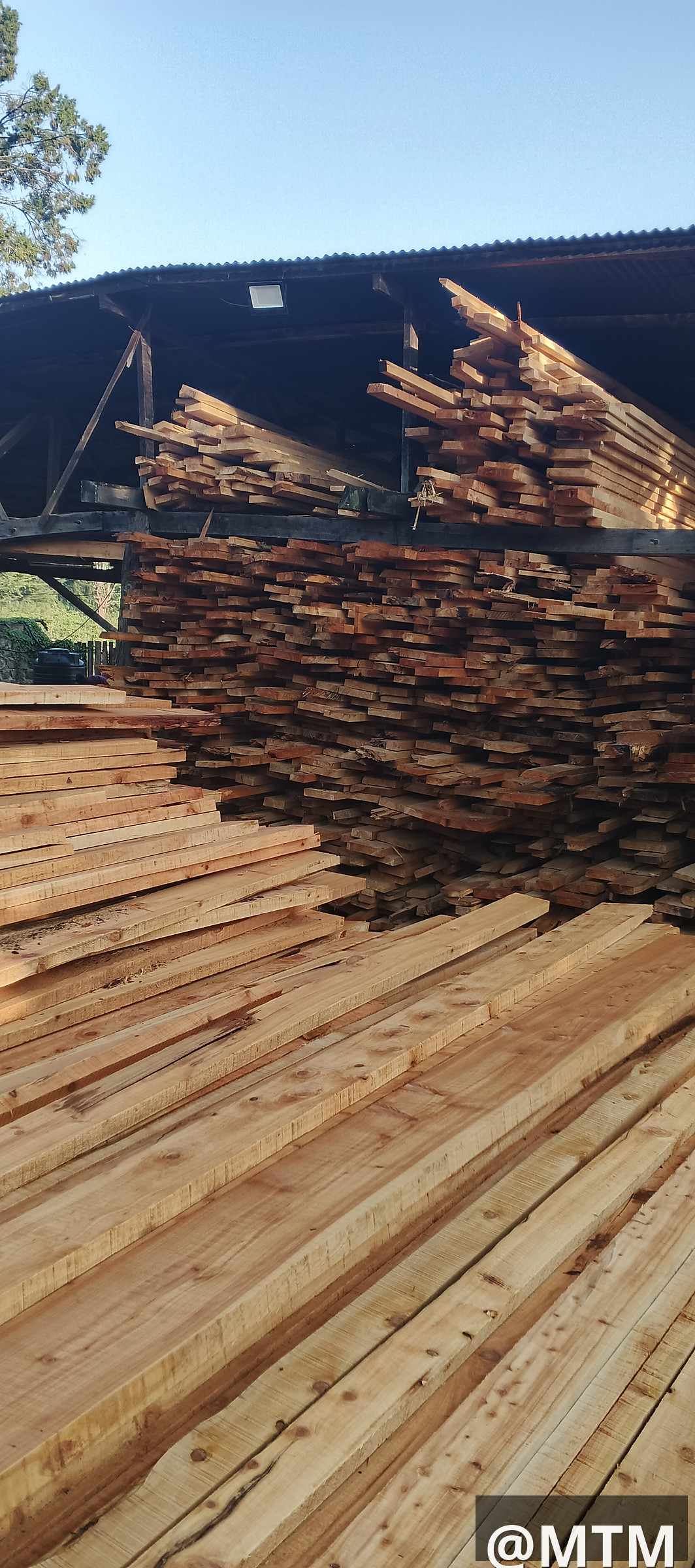 Cypress, Pine, Bluegum, gravellia, Round poles, door frames, doors, TNG e.t.c call 0722851148
