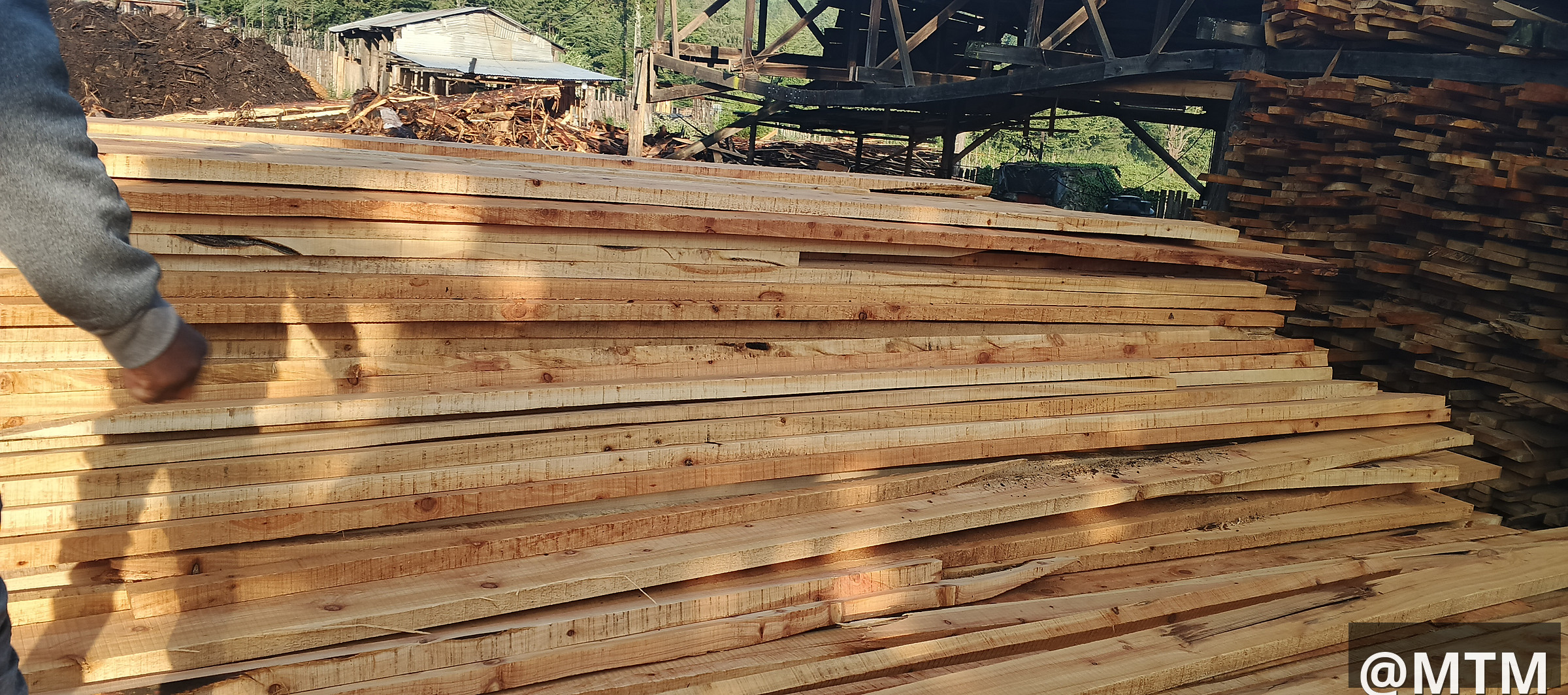 Cypress, Pine, Bluegum, gravellia, Round poles, door frames, doors, TNG e.t.c call 0722851148