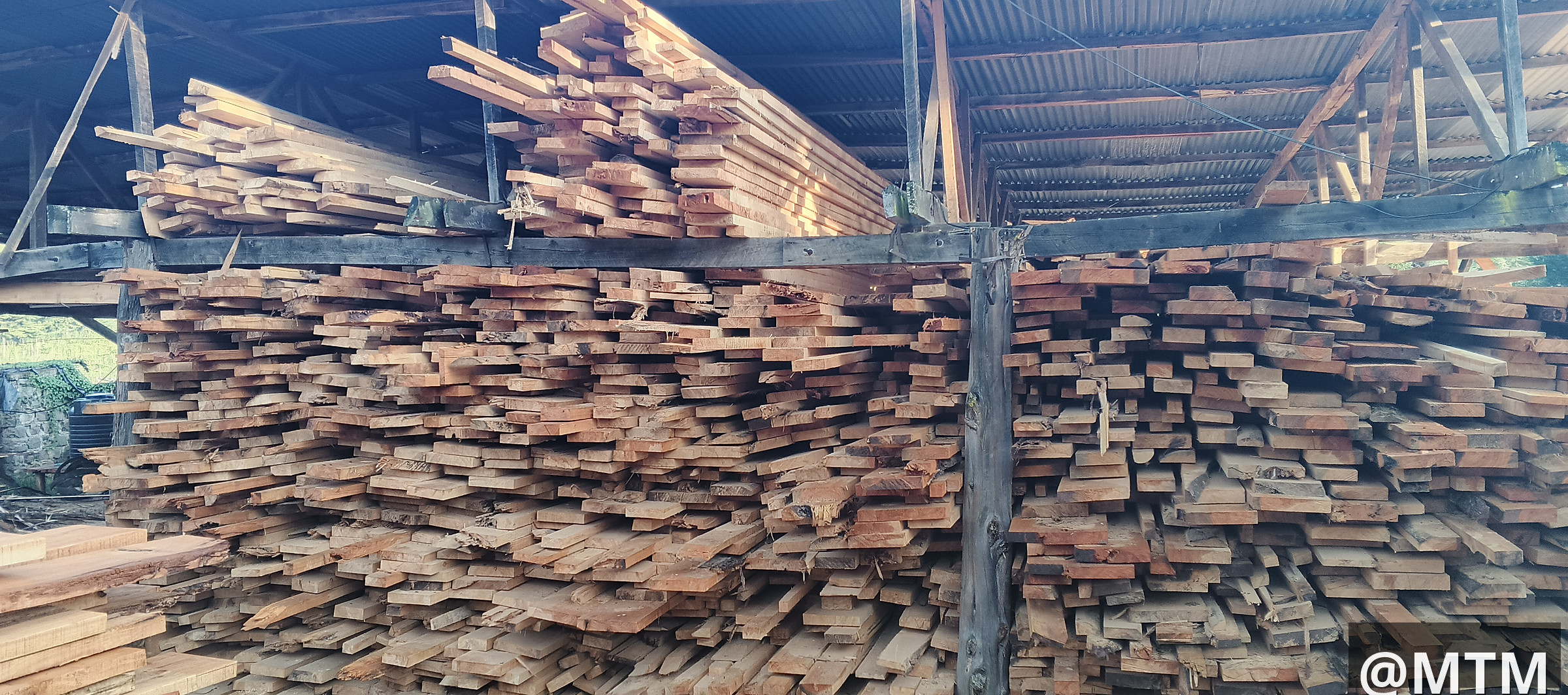 Cypress, Pine, Bluegum, gravellia, Round poles, door frames, doors, TNG e.t.c call 0722851148
