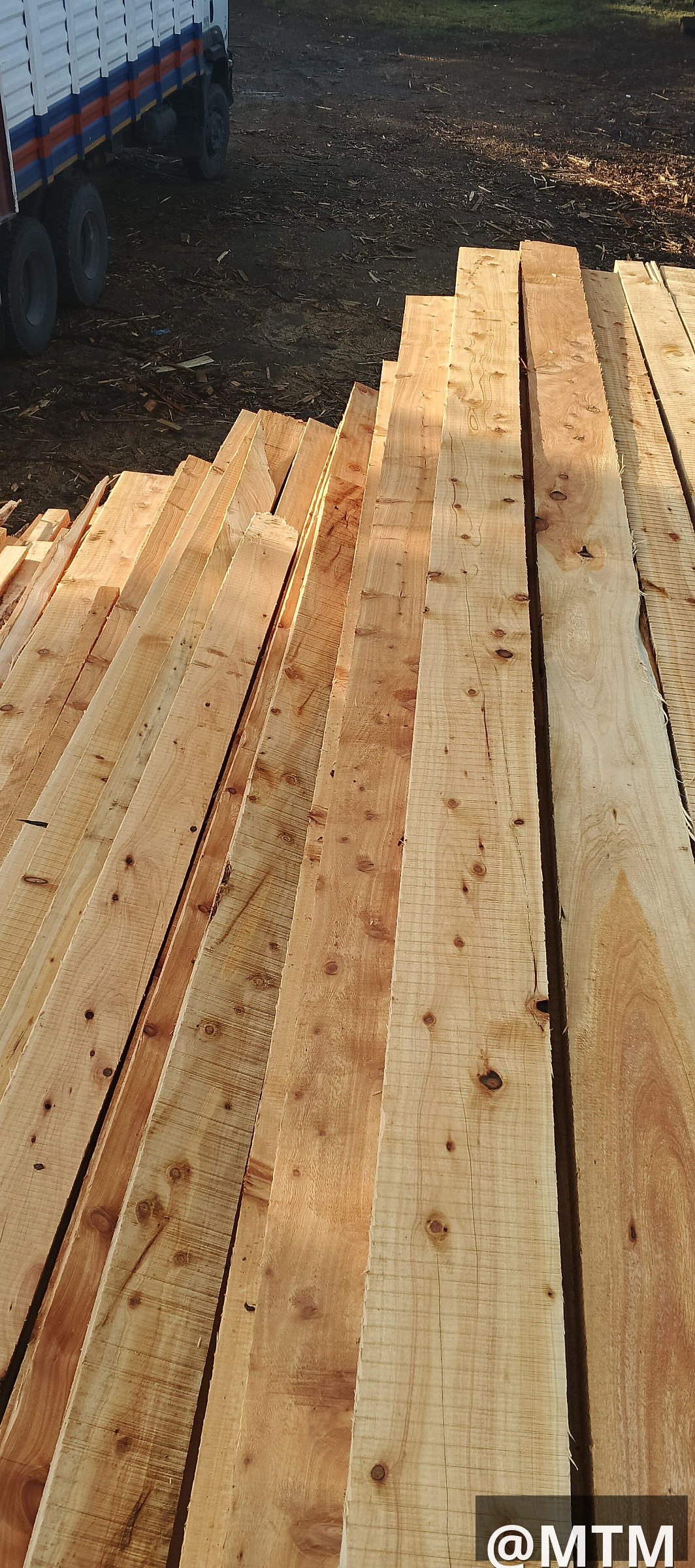 Cypress, Pine, Bluegum, gravellia, Round poles, door frames, doors, TNG e.t.c call 0722851148