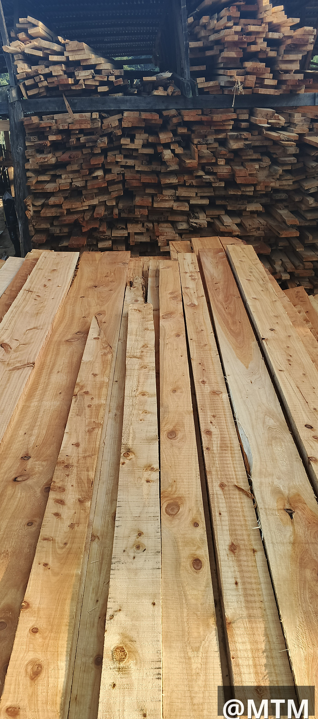 Cypress, Pine, Bluegum, gravellia, Round poles, door frames, doors, TNG e.t.c call 0722851148