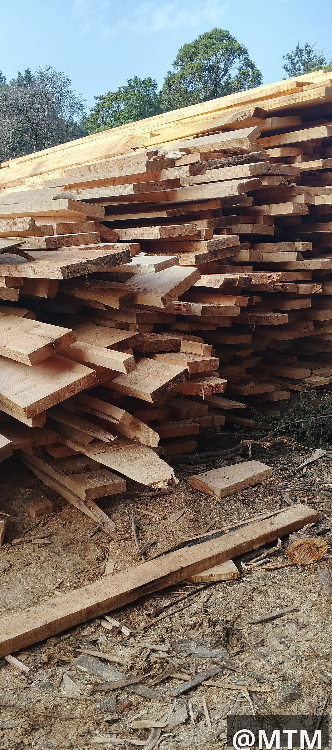 Cypress, Pine, Bluegum, gravellia, Round poles, door frames, doors, TNG e.t.c call 0722851148