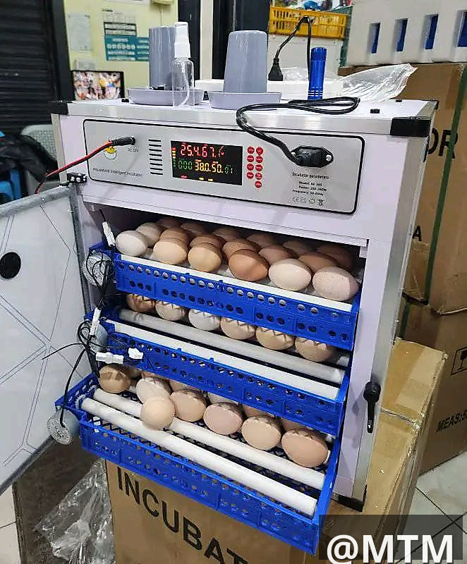 Mini incubators ranging from 64 to 204 eggs capacity
