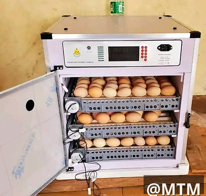 Mini incubators ranging from 64 to 204 eggs capacity