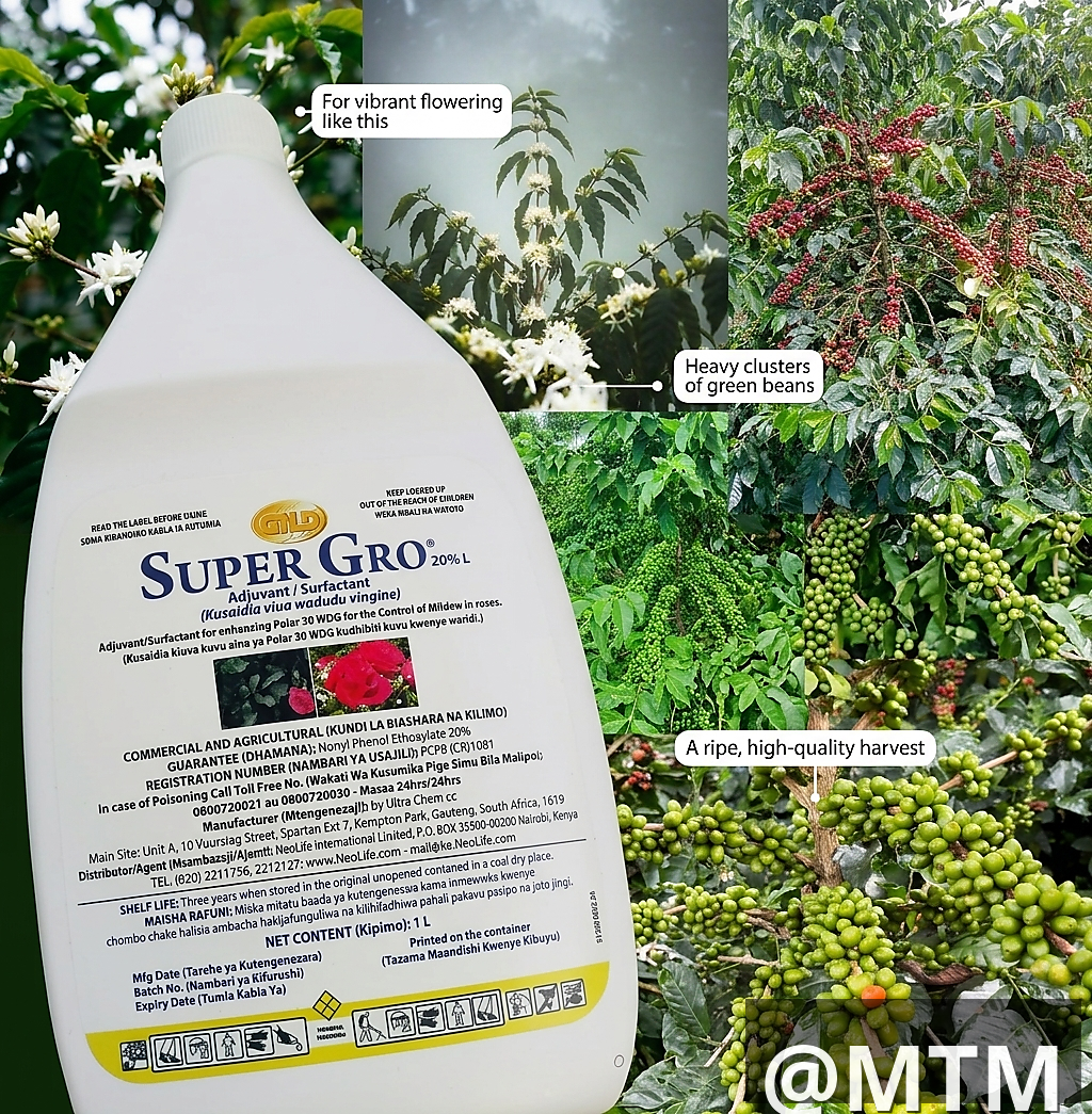 Supergro 