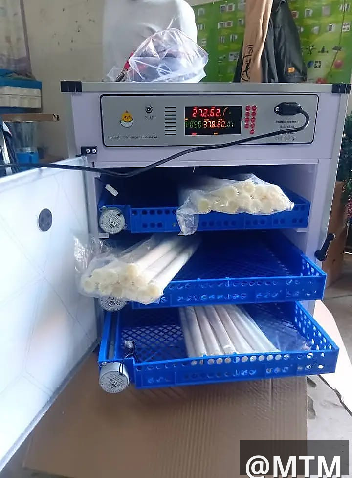 Mini incubators ranging from 64 to 204 eggs capacity