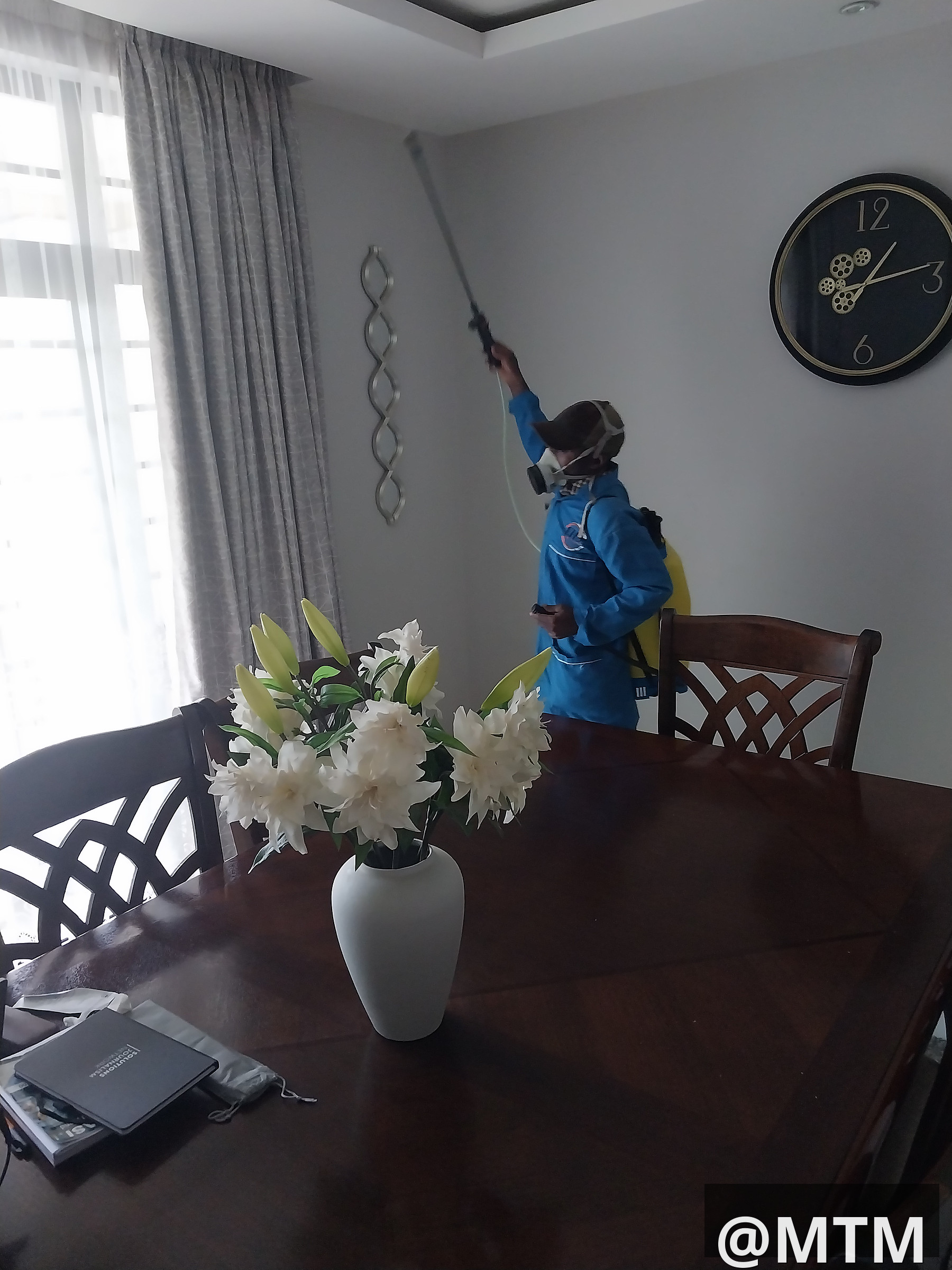 PEST CONTROL AND FUMIGATION SOLUTION 
