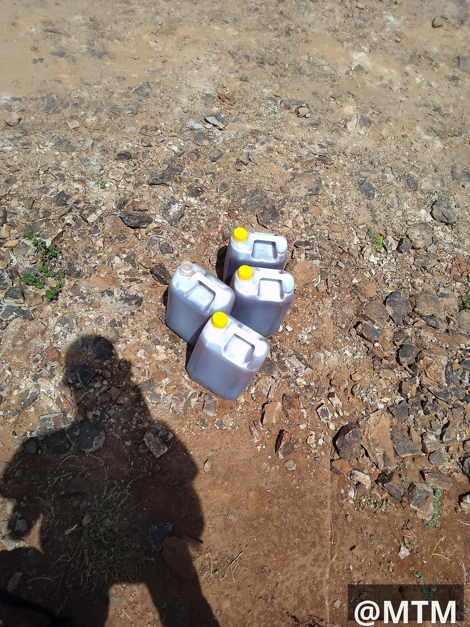 pure baringo honey 