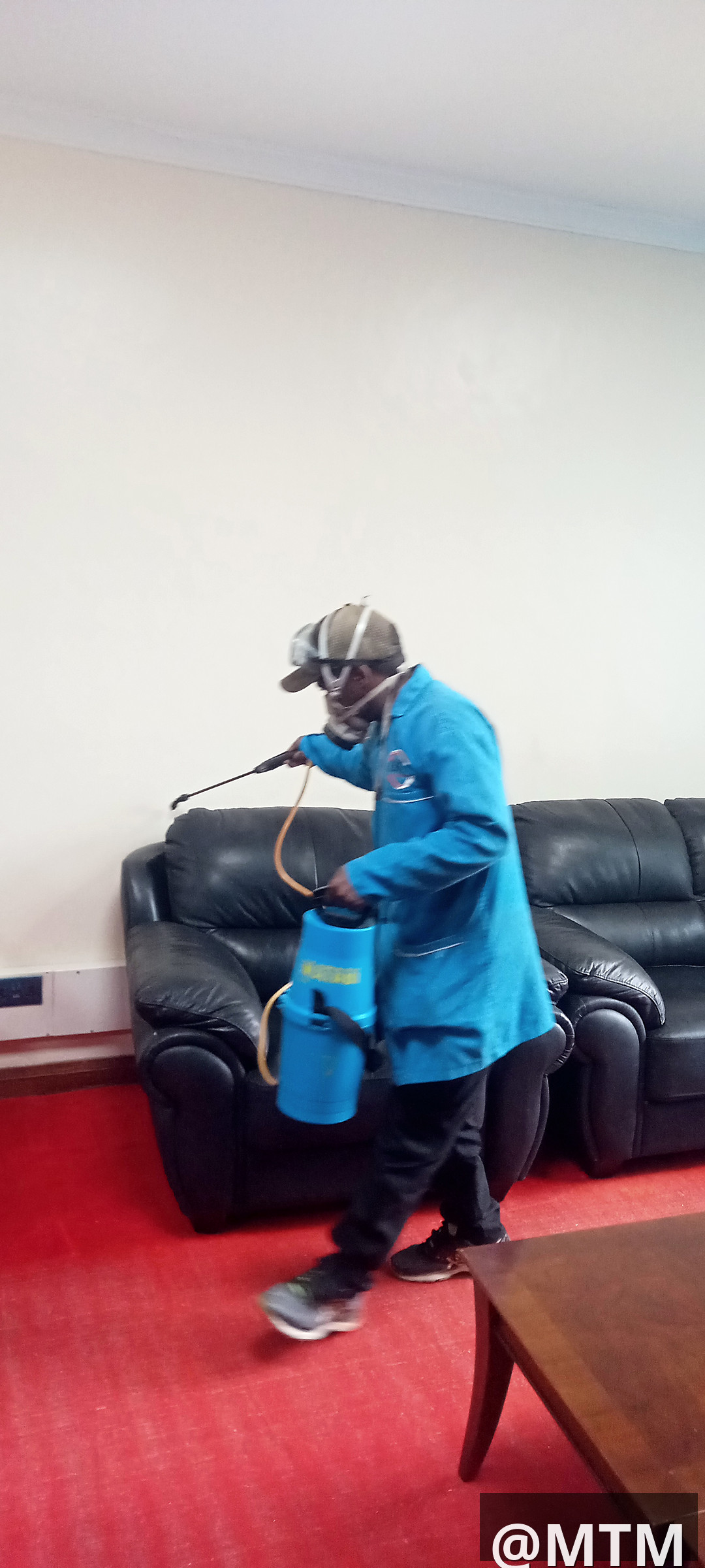 pest control services 