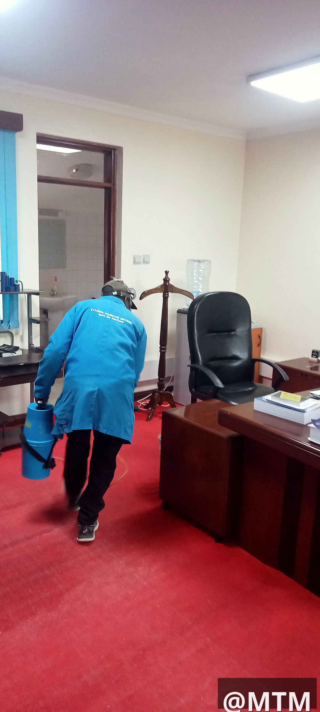 pest control services 