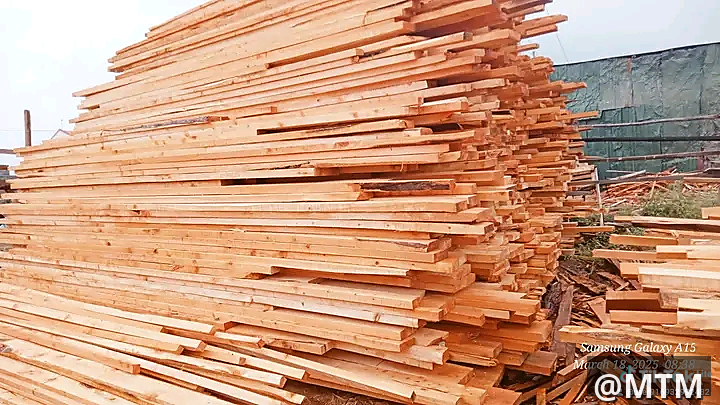 timber 