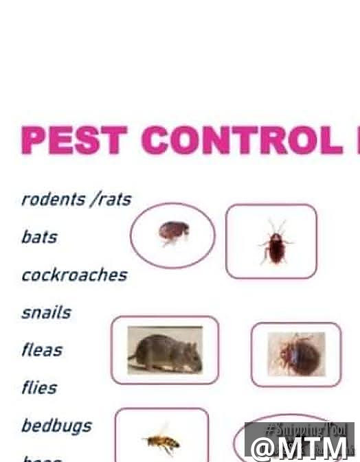 pests control 