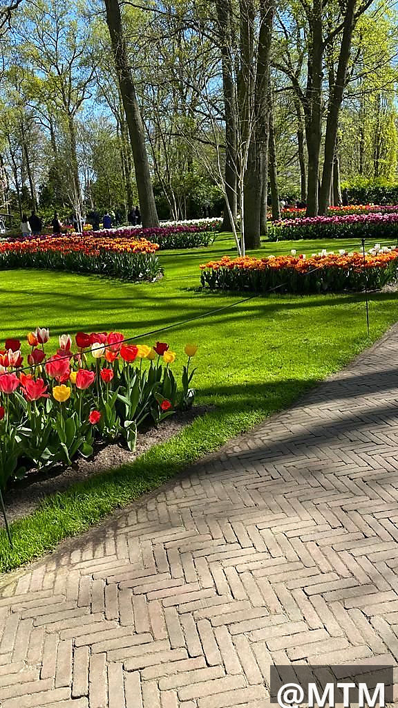 landscaping services 