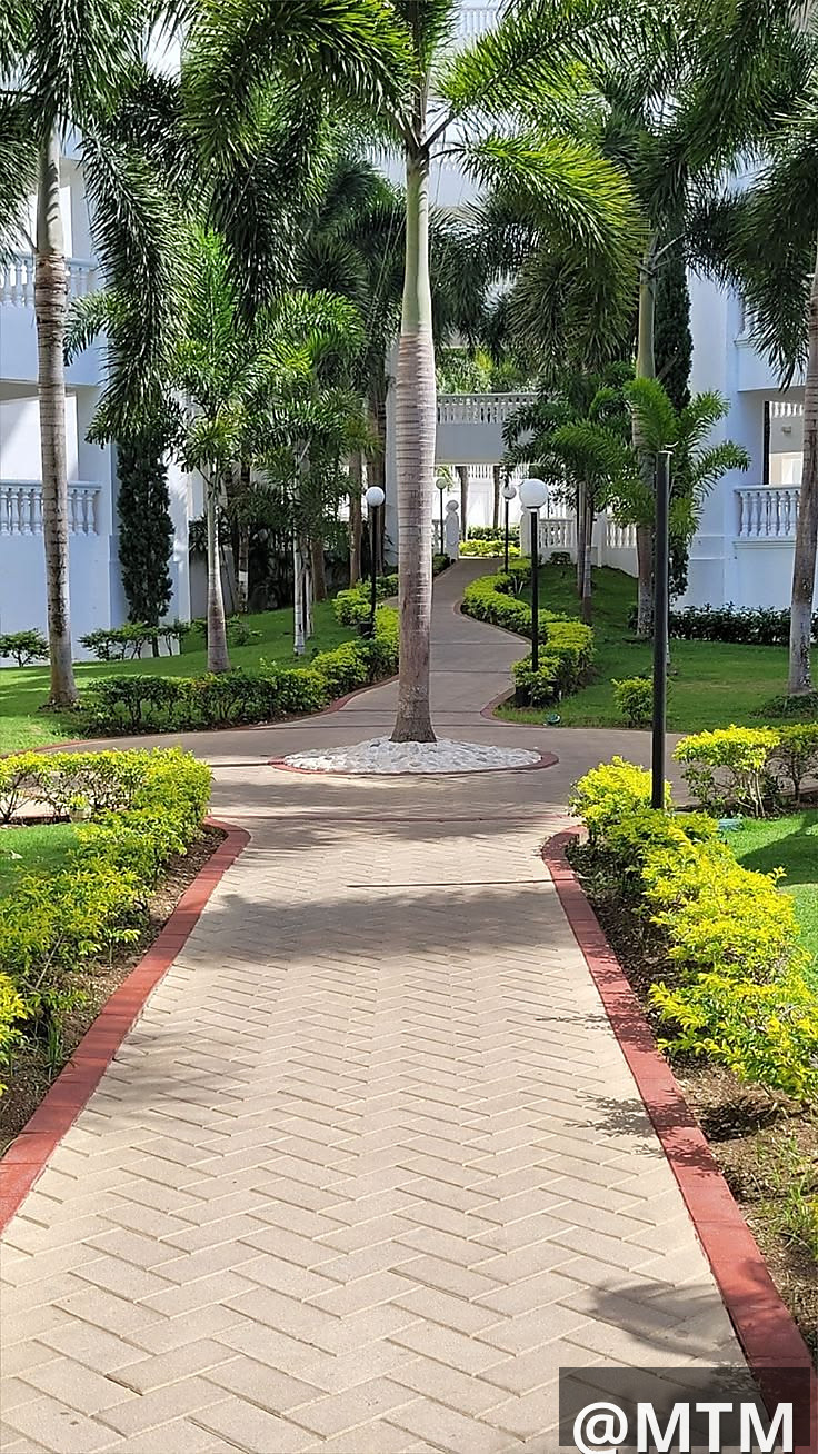landscaping services 