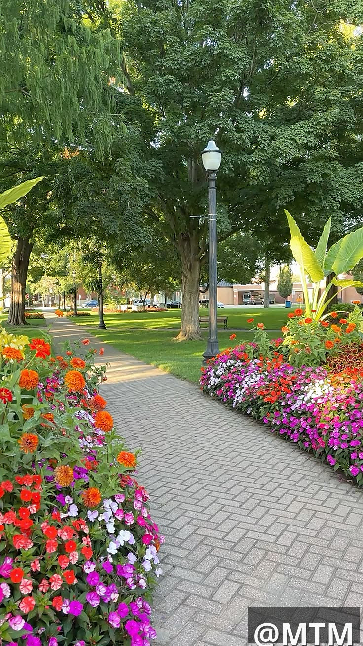 landscaping services 