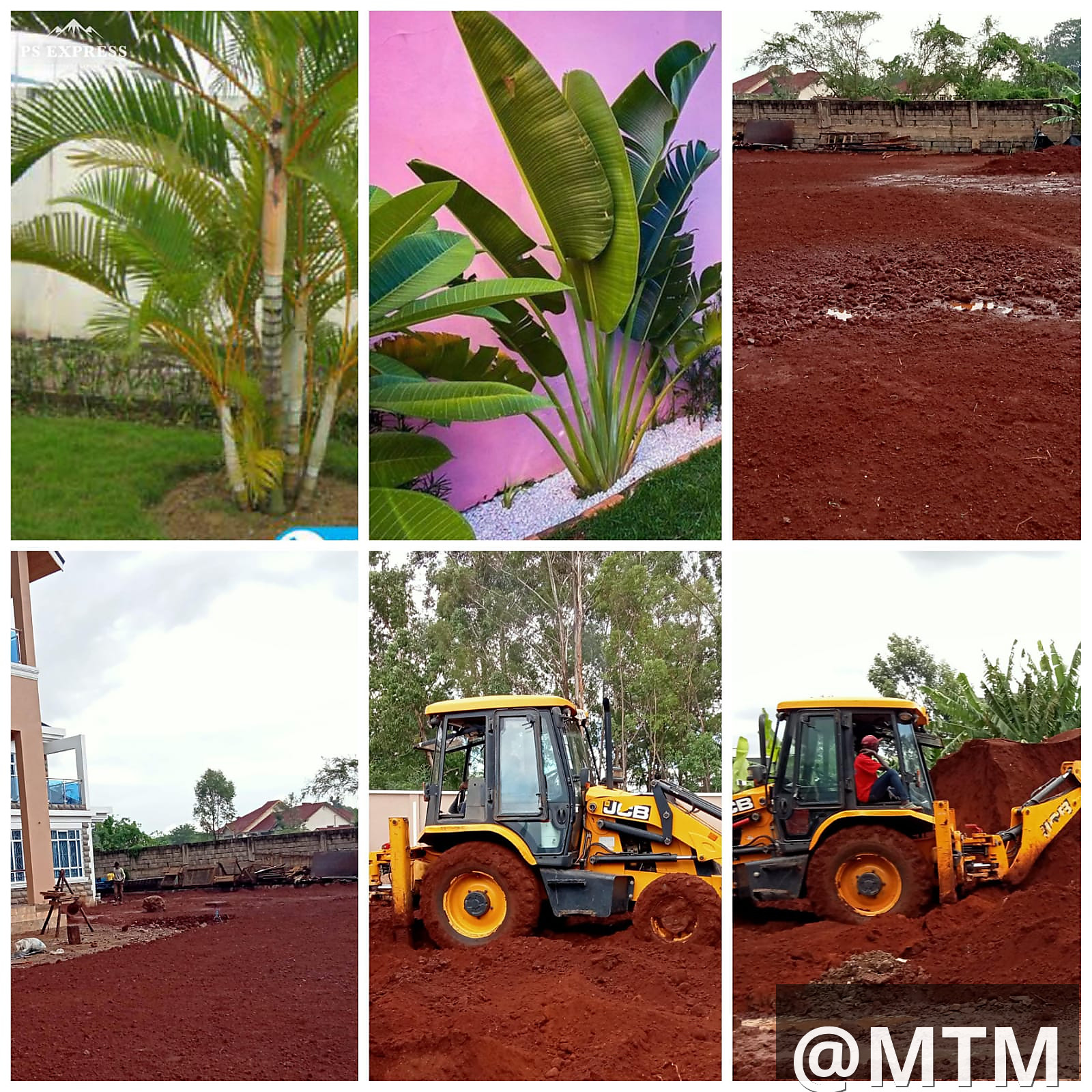 landscaping services 
