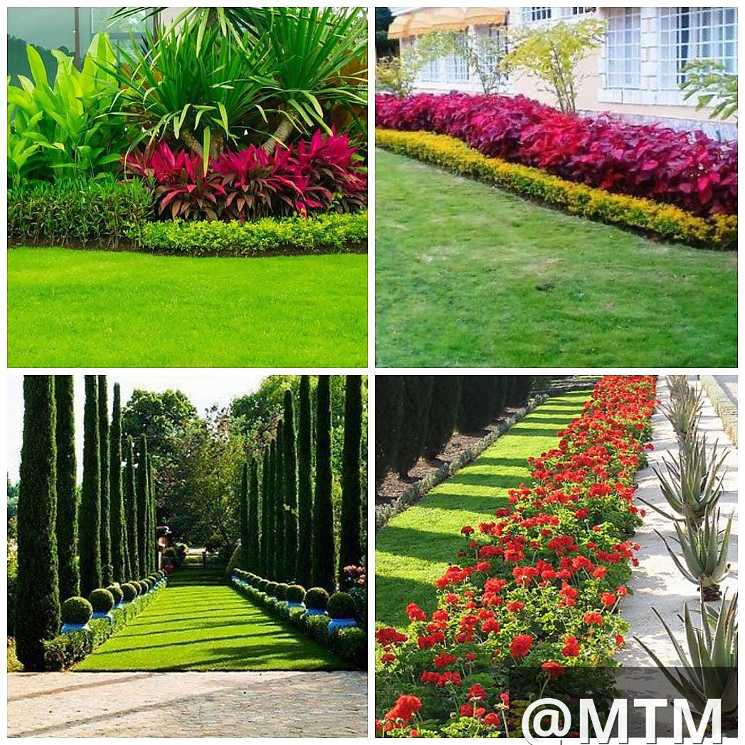 LANDSCAPING SERVICES 