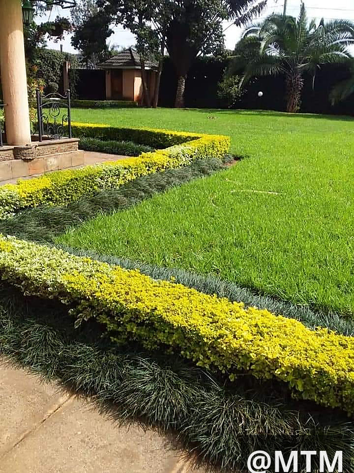 LANDSCAPING SERVICES 