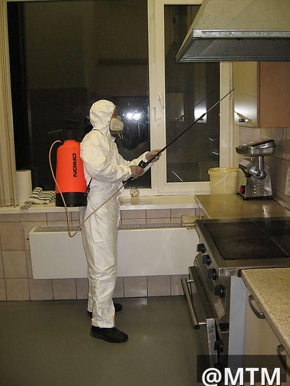 BEDBUGS COCKROACH FUMIGATION 