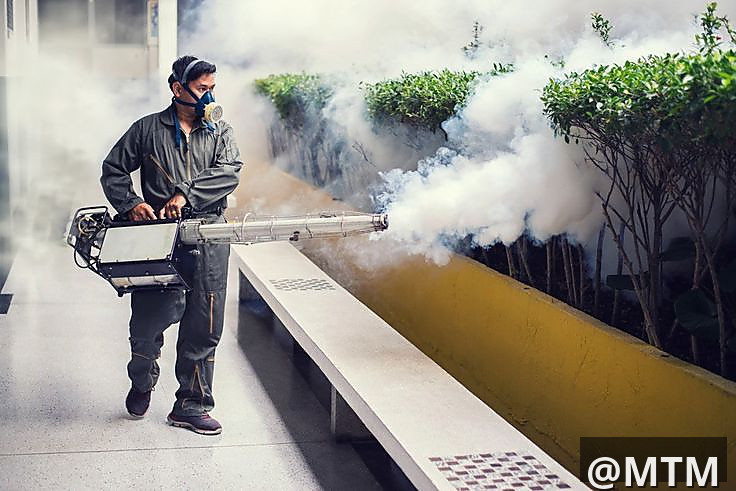 BEDBUGS COCKROACH FUMIGATION 