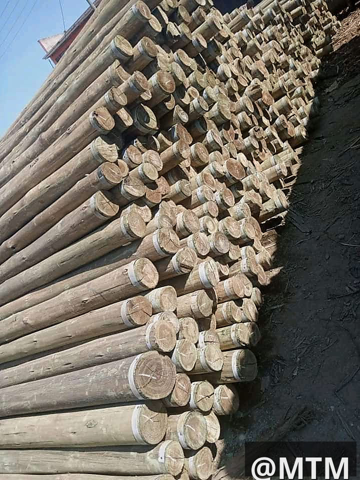ALL TYPES OF TIMBER FOR ROOFING 