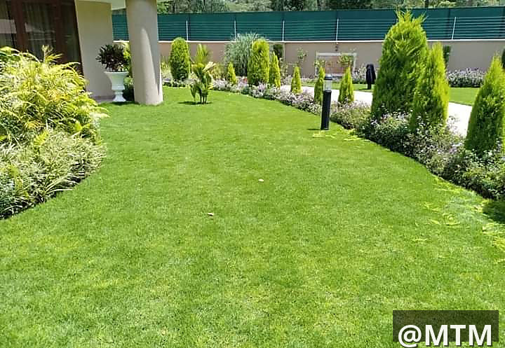 landscaping services 