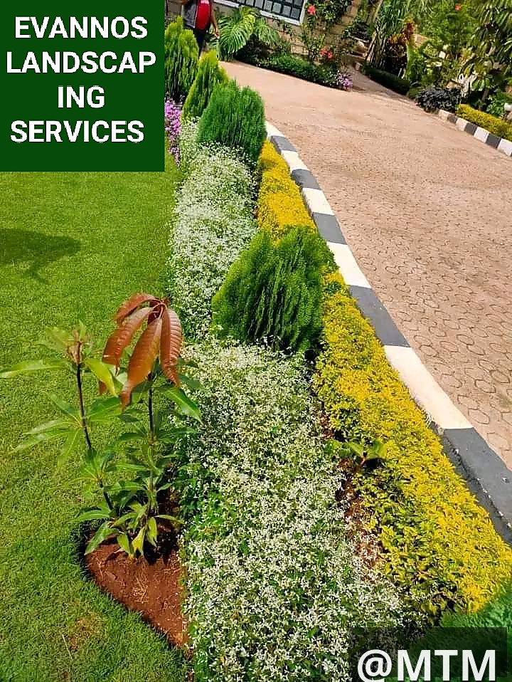 landscaping services 