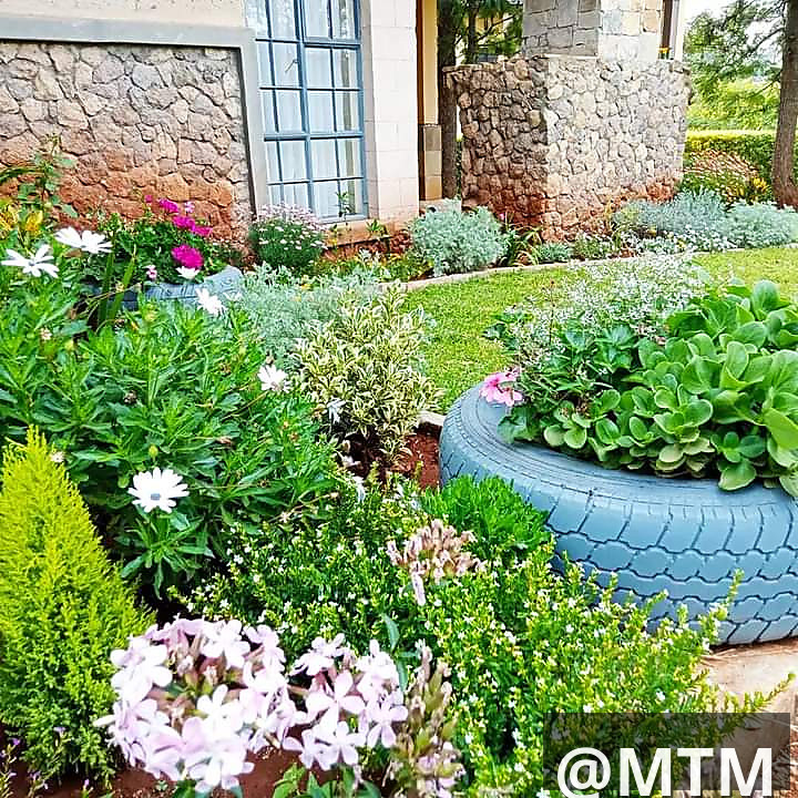 landscaping services 