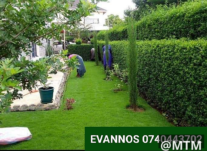 landscaping services 