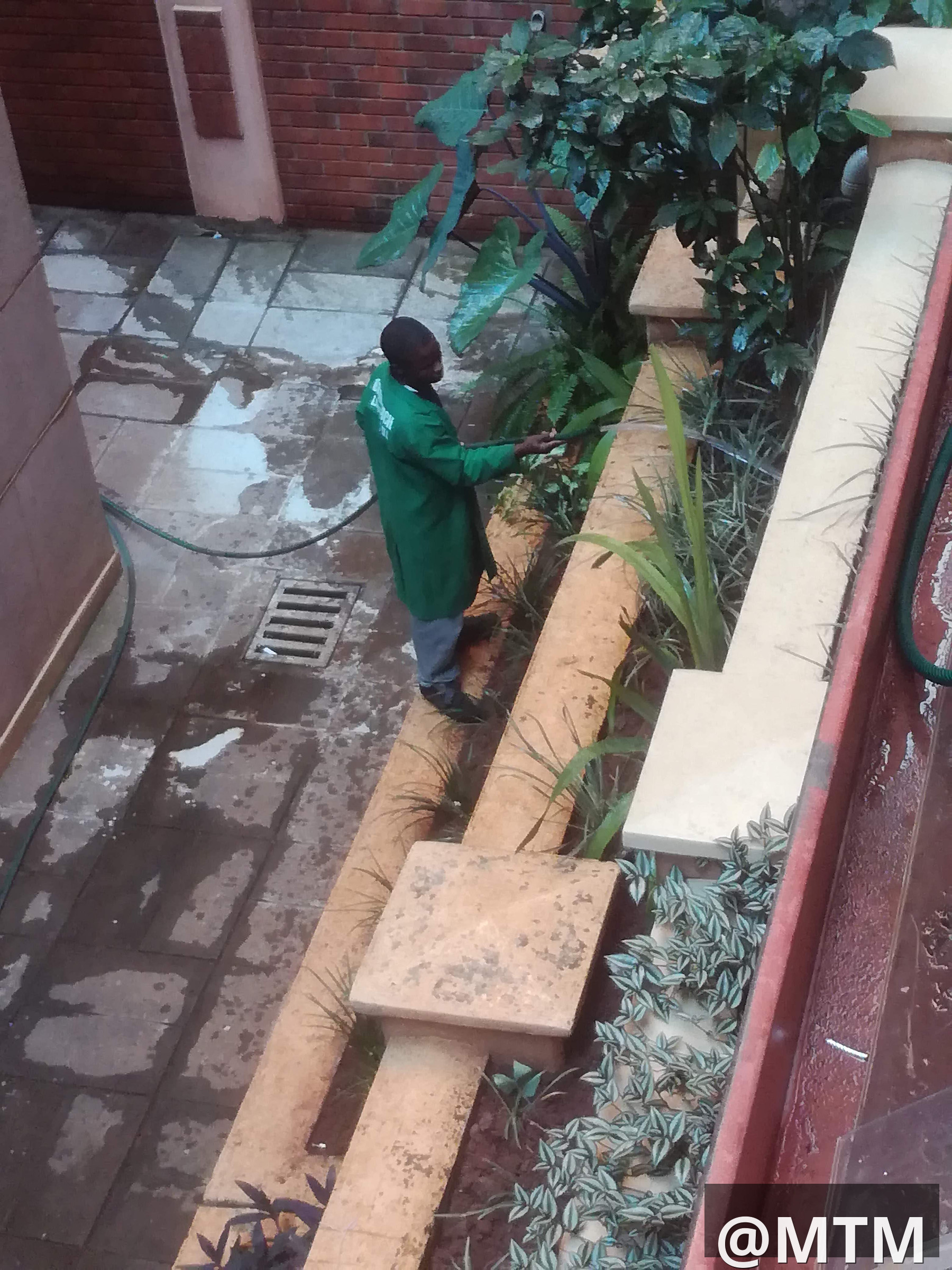 cleaning services 