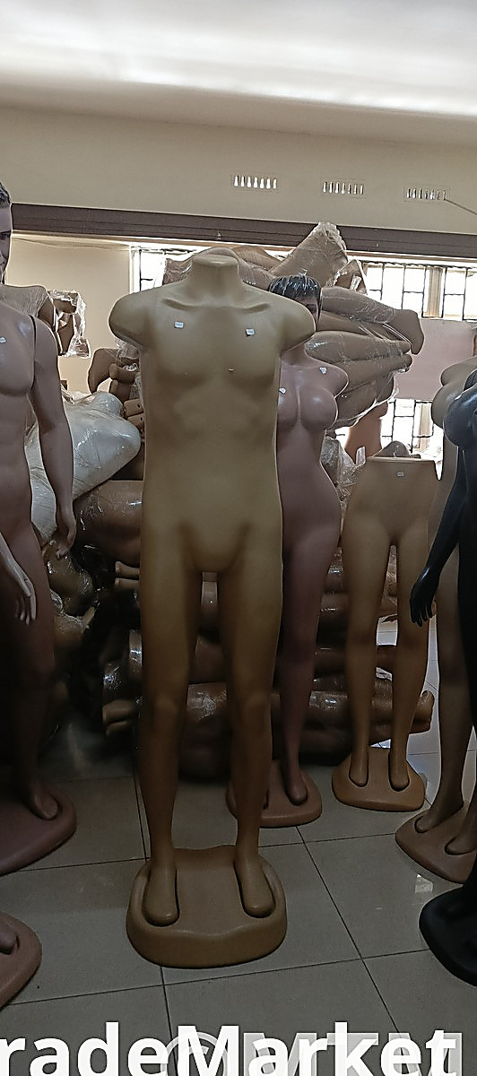 Male mannequin