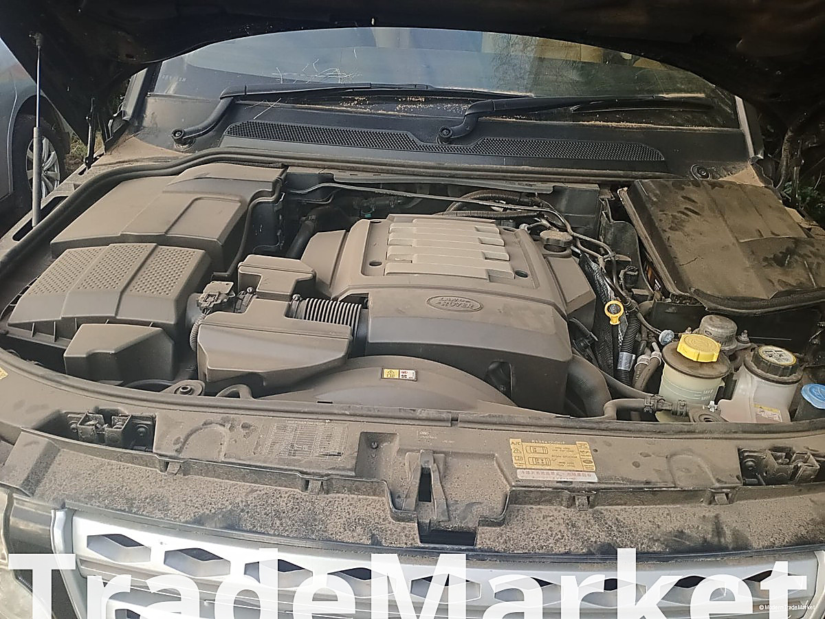 discovery auto petrol 