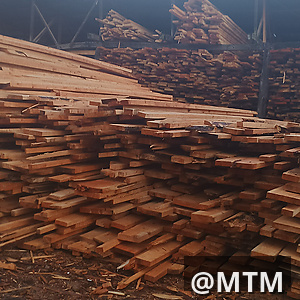 PIONEER TIMBER