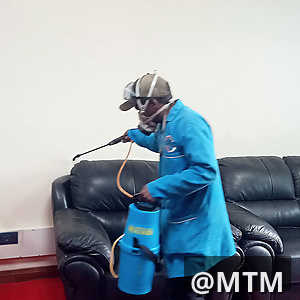 pest control services 