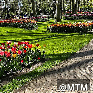 landscaping services 