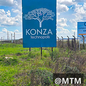 VICTORY GARDENS, KONZA
