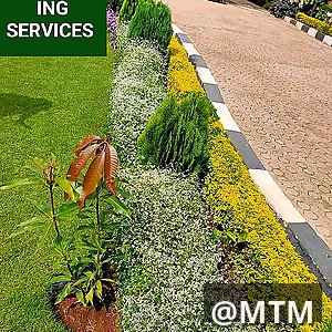 landscaping services 